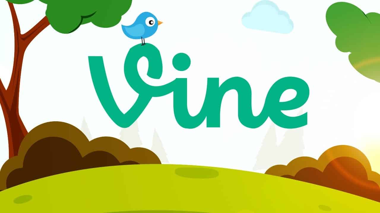 Vine explained